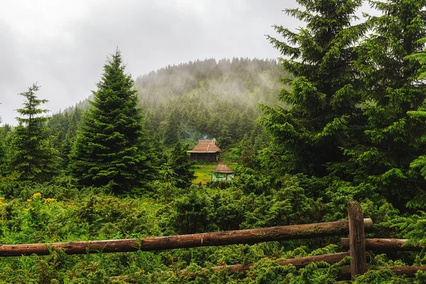 Mountain landscape in Carpathians, wooden house under hill in rain weather Ukraine.