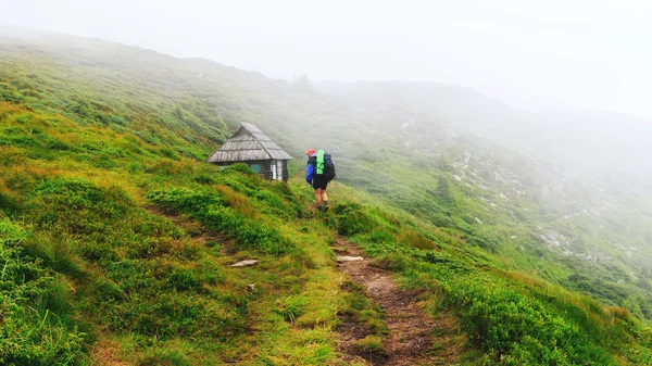 Tourist goes along mountain trail to the small wooden house on hill of ridge in mist, Carpathians, Ukraine.