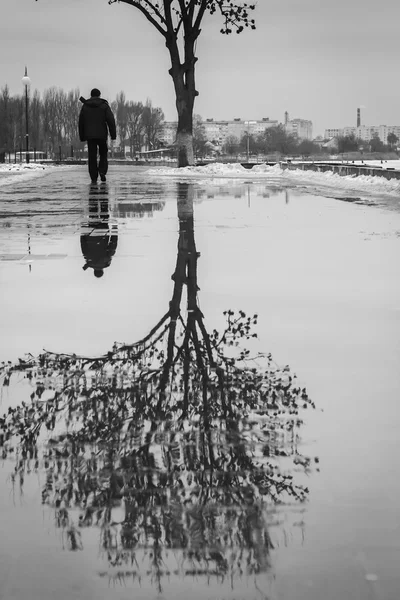 Puddle reflection of tree, walking person, black and white photo