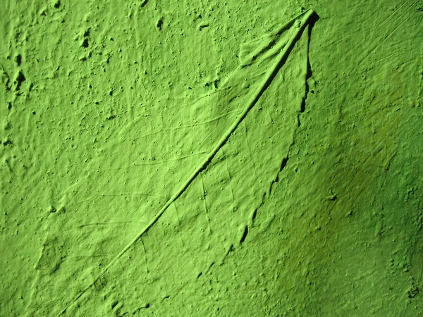 Green leaf on green wall