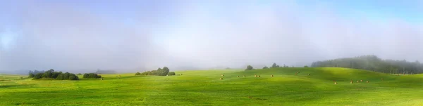 Misty morning on the green alpine hills