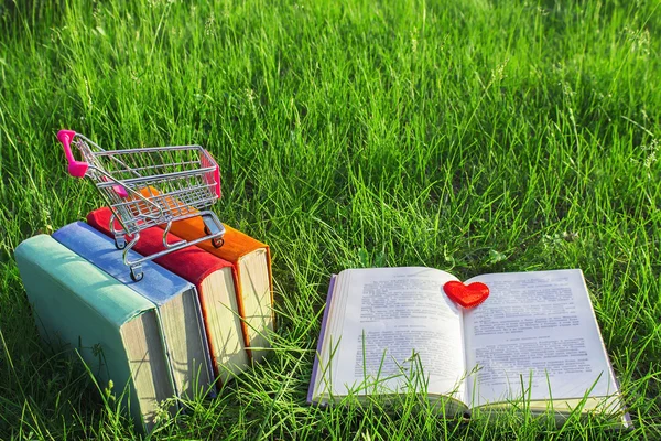 Stack of multicolored old books and open book on the grass at nature