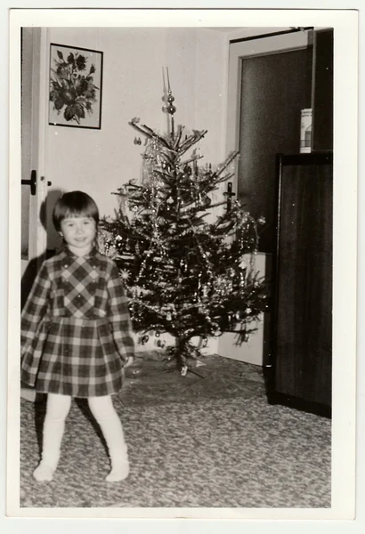 Retro photo shows small girl during Christmas. Christmas tree is on background. Black & white vintage photography.