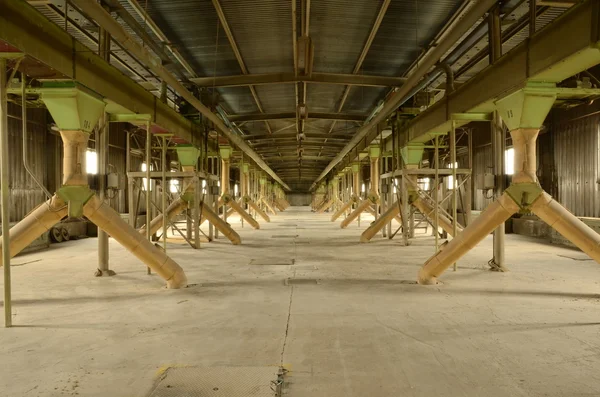 Corn silo (interior). Closeup of old factory.