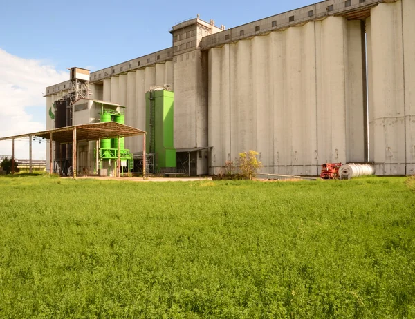 Corn dryer and metal silos. Grain silos - concrete structure - for agriculture, wheat, maize, grain etc.