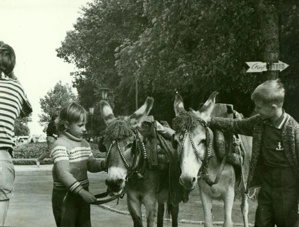 Retro photo shows children with donkeys in the park. Vintage black & white photography.