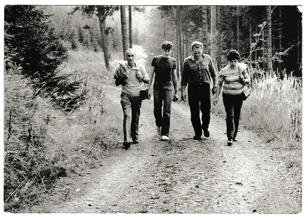 Retro photo shows tourists go for a walk in the forest. Black & white vintage photography
