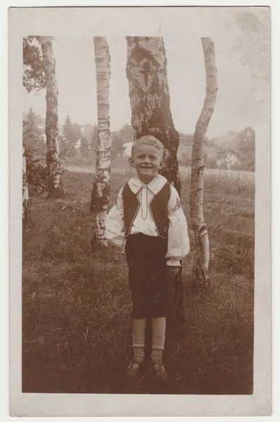 Vintage photo shows a small boy outside. Silver birches are on the background. Retro black & white photography.