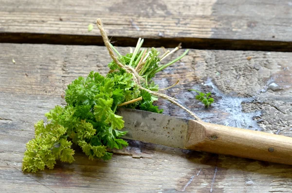 Bunch of parsley with vintage special knife for cutting herbs.