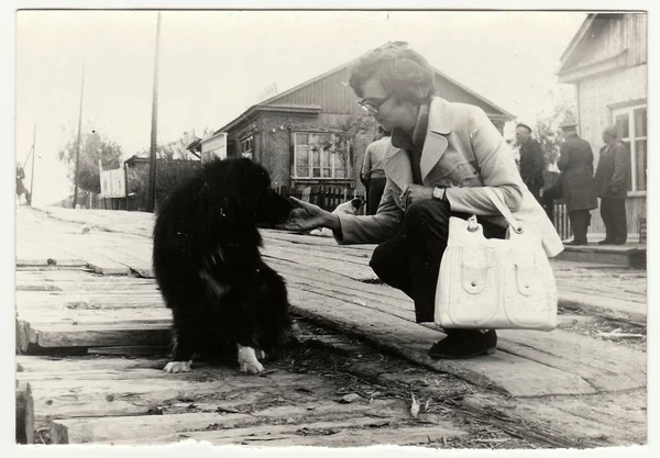 Vintage photo shows woman strokes the dog on the street.