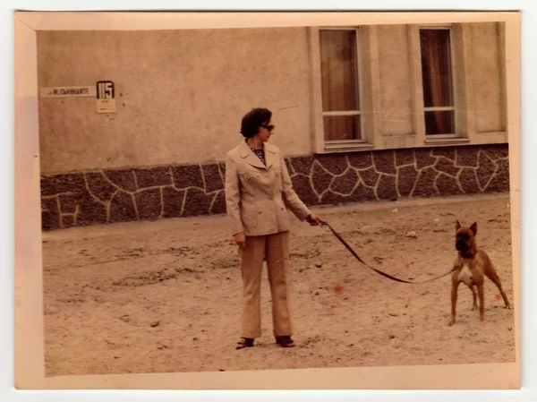 Vintage photo shows woman walks the dog.