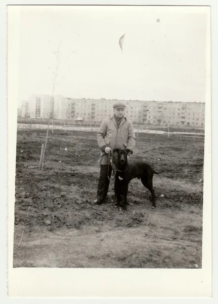 Vintage photo shows man walks the dog.