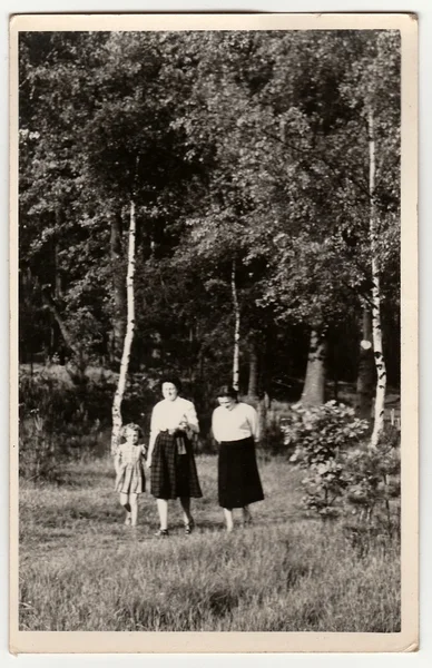 An antique Black & White photo shows women and girl go for a walk in forest.
