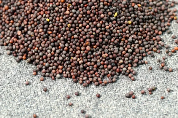 Heap of Brown Mustard Seeds on sackcloth