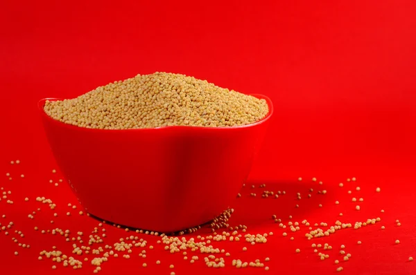Yellow mustard seeds in red bowl