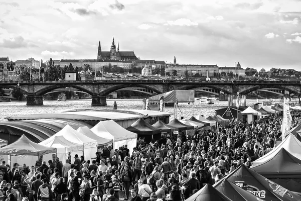 Black and White View of Prague Castle