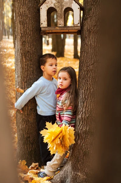 Pensive kids stand between two trees