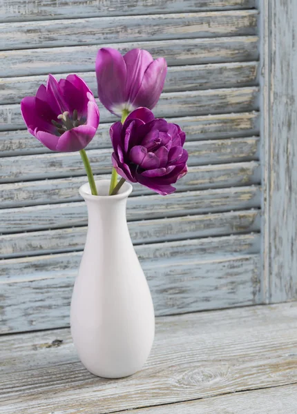 Purple tulips in a white ceramic vase on rustic blue wood background