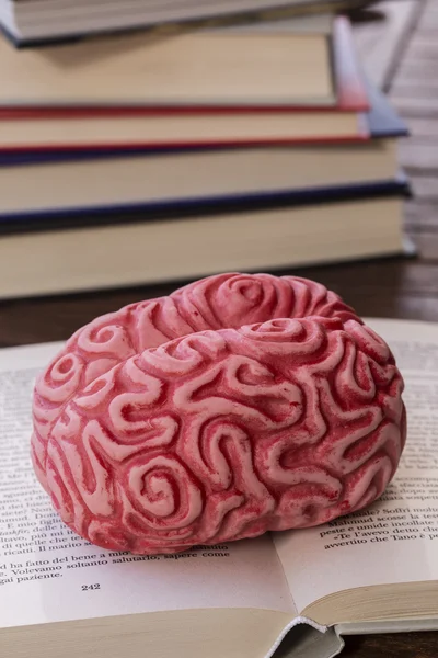 Brain on a opened book
