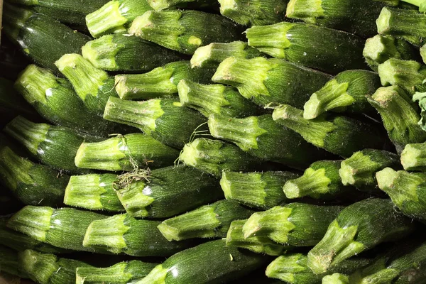 Zucchini lined up at the market