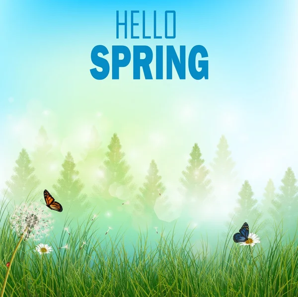 Spring background with flowers and butterflies in meadow and pine trees