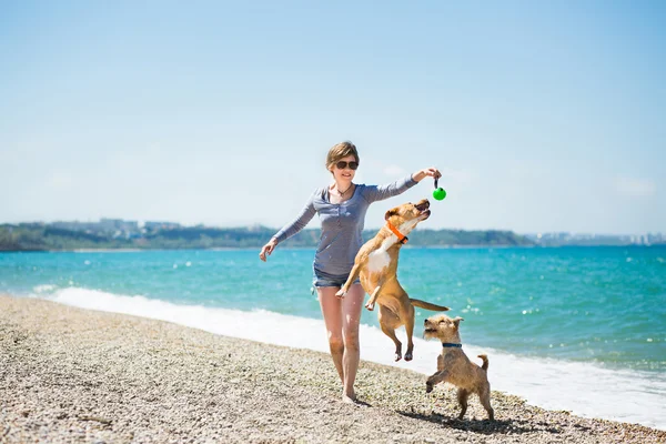 Beautiful girl playing with dogs on the beach