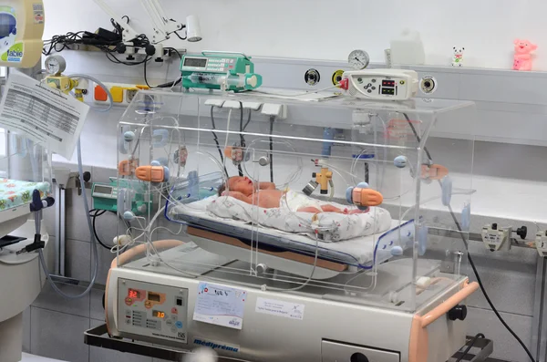 Sofia, Bulgaria - January 8, 2016: Unidentified new born babies in maternity hospital in Sofia