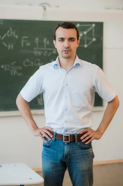 Young teacher near chalkboard in school classroom talking to class