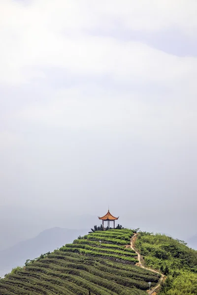 Chinese tea mountains and the Chinese Pavilion