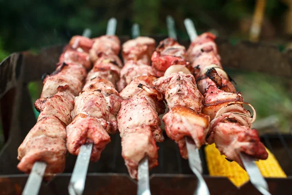 Barbecue roasted meat kebab hot grill, good snack outdoor picnic