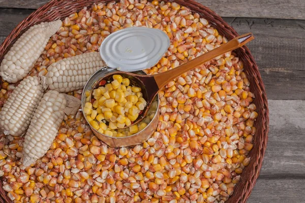 Spoon, popcorn, agriculture, canned, cob, macro, corn, seed, color, kernel, golden, nutrition, cooking, harvest,