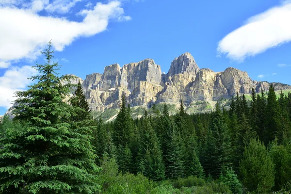 Mountain landscape of Banff National Park.