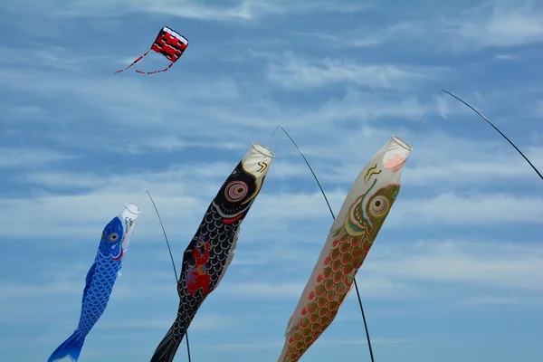 Kites flying at the kite festival.