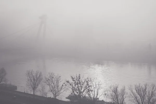 Morning fog above Danube river in Bratislava