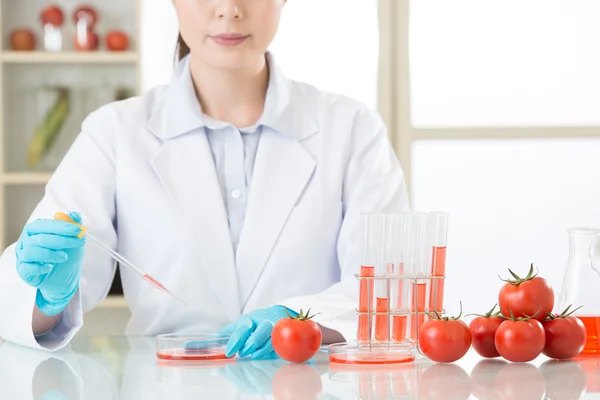 Asian female scientist doing tomato genetic modification researc