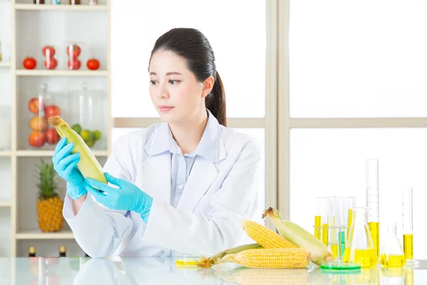 Asian female scientist looking apple for genetic modification re