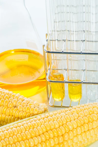 Biofuel or Corn Syrup sweetcorn