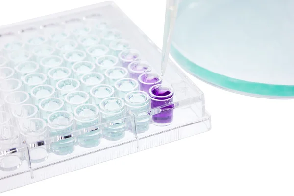 Pipette test sample research test lab elisa