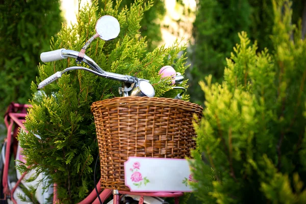 Vintage pink bicycle with flower basket