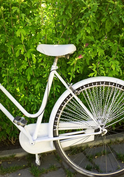Vintage white bicycle with flower basket