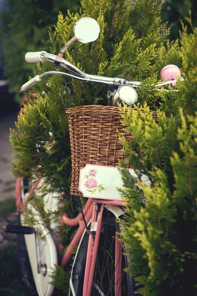 Vintage pink bicycle with flower basket on the grass