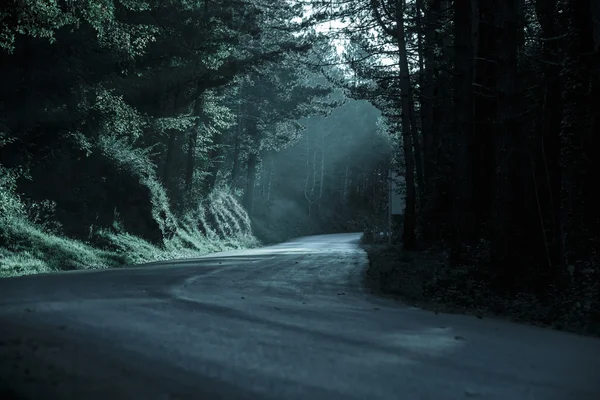 Dark forest with empty road in receding light