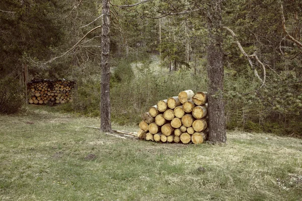 Woodpiles of big pieces of cut timber