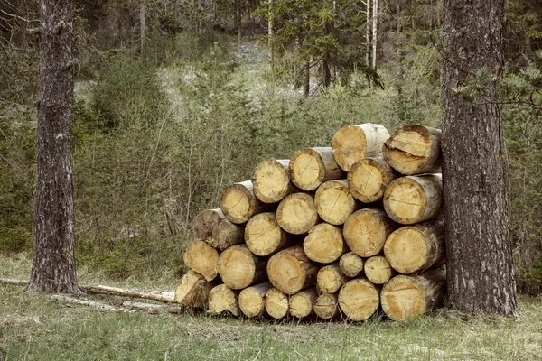 Woodpile of big pieces of cut timber