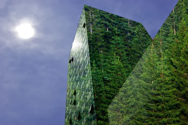 Modern building covered with spruce forest