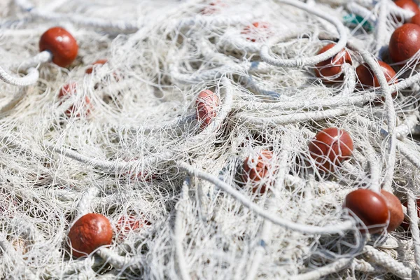 Close-up of fishing net with red floats