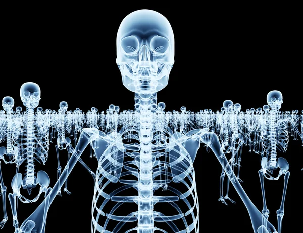 Army of skeletons isolated on black