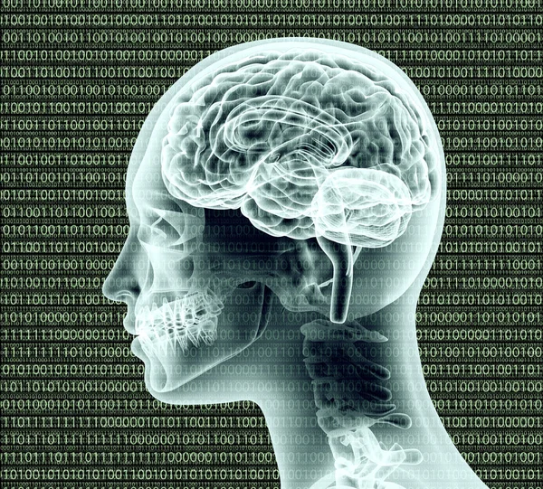 Xray image of human head with binairy code and a brain
