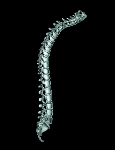 X-ray image of a spine on black with clipping path