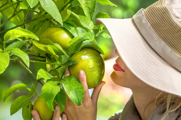 Farmer Checking Lemons